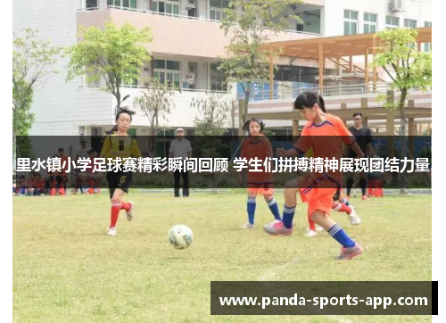 里水镇小学足球赛精彩瞬间回顾 学生们拼搏精神展现团结力量