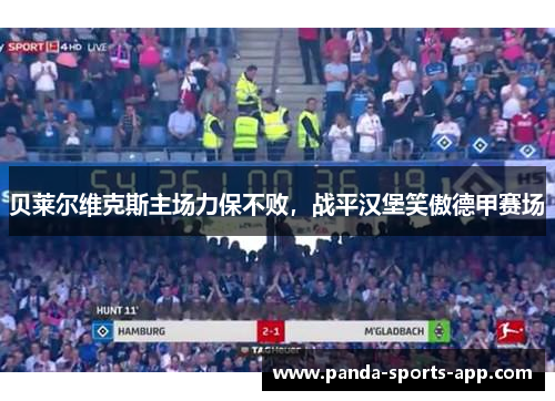 贝莱尔维克斯主场力保不败，战平汉堡笑傲德甲赛场